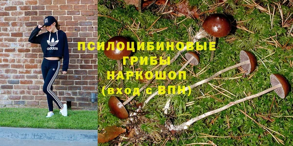каннабис Аркадак