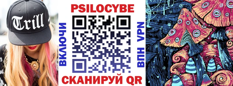 Псилоцибиновые грибы Psilocybe omg как войти Таруса